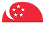 sg flag